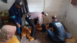 Sempat Merintih Sambil Pegang Dada, Pria di Pringsewu Ditemukan Tak Bernyawa