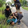 Dramatis! Kejar-kejaran Warnai Penggerebekan Narkoba di Margakaya Pringsewu